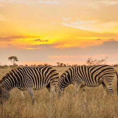 Direzione Aeroporto - Il viaggio non finisce, si trasforma