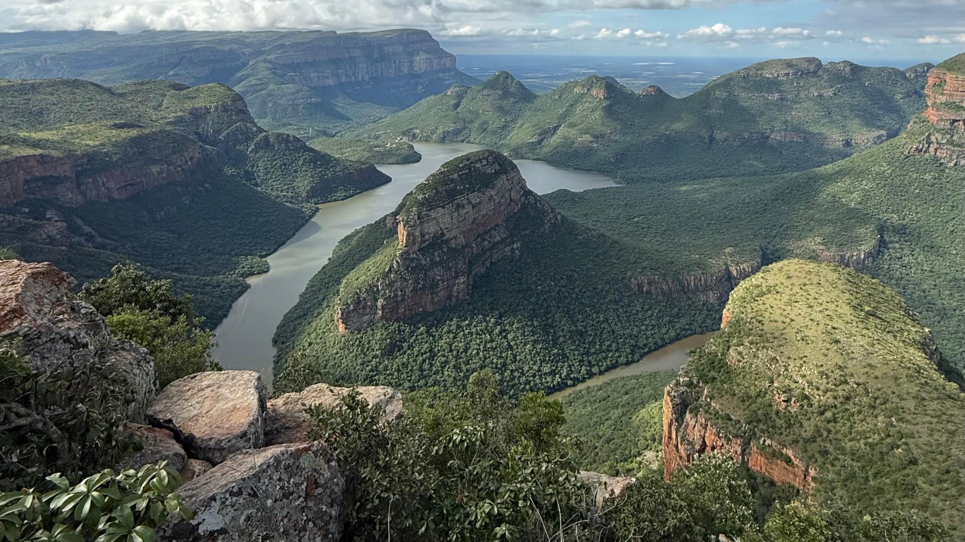 Viaggio in Sudafrica: Cape Town, Safari e Kruger — il viaggio che ti cambia