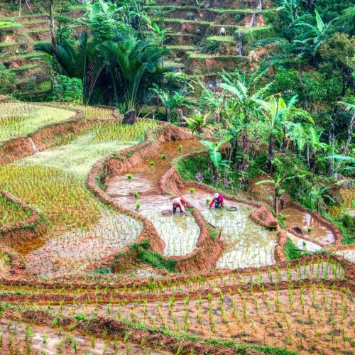 Pu Luong - Il lusso semplice della natura
