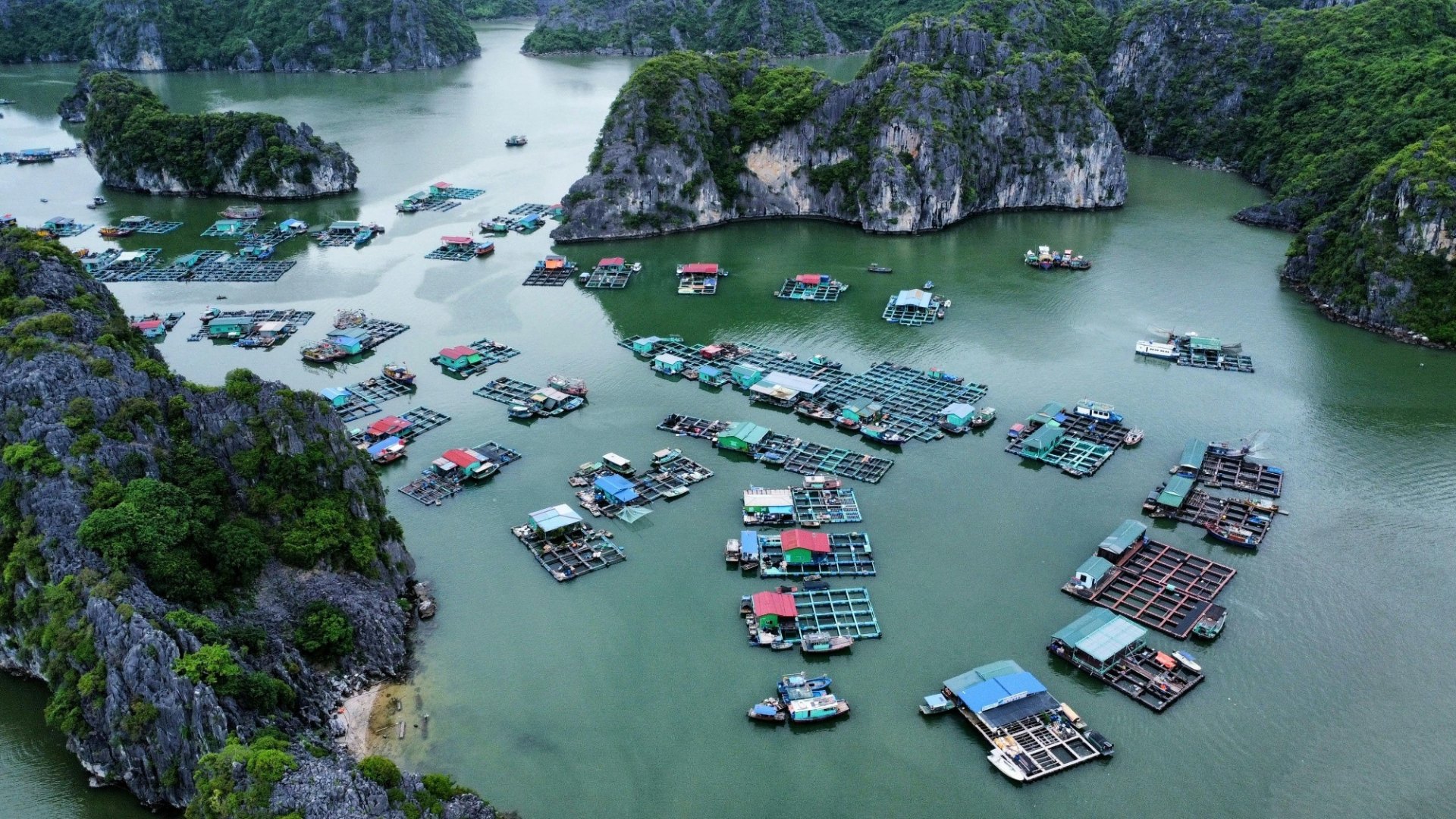 Baia di Ha Long