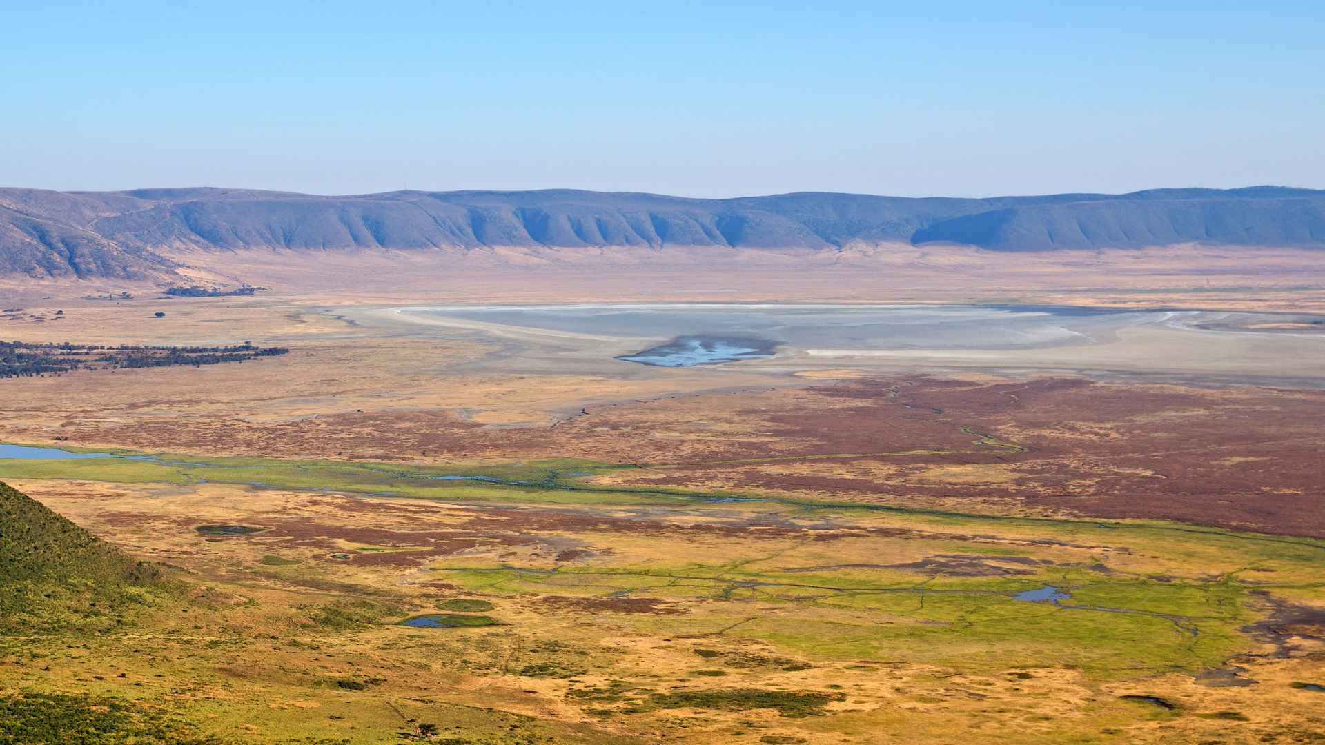 Ngorongoro