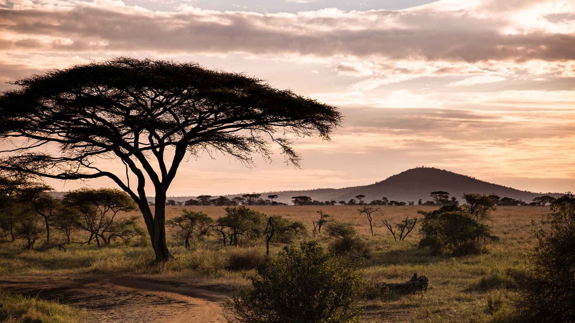 Sunset Tanzania