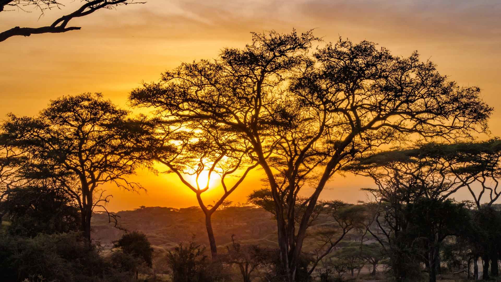 Tramonto Tanzania